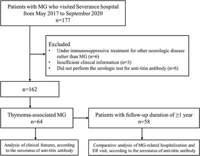 Anti-titin antibody is associated with more frequent hospitalization to manage thymoma-associated myasthenia gravis